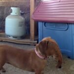 Kesalahan Panorama yang Menghasilkan Foto Absurd 15 Contoh yang Memalukan