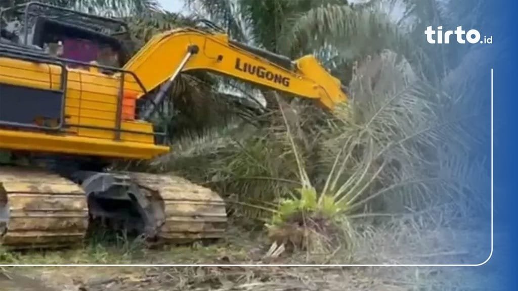Pemerintah Riau Berikan Ultimatum 3 Bulan untuk Penghapusan Sawit di