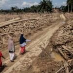 Perusahaan Korporasi di Sumatra Diburu Satgas PKH dan Kementerian Lingkungan