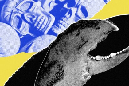 A close-up of a computer screen showing complex terminal code and a digital shopping cart filled with avocados.