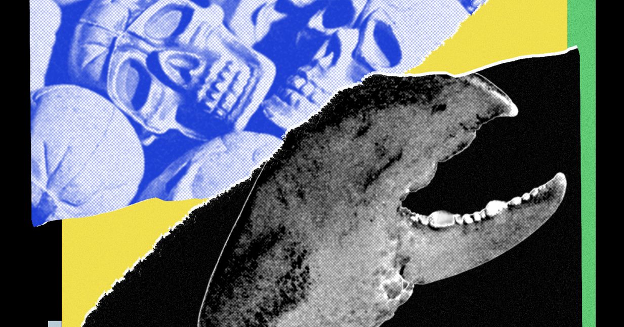 A close-up of a computer screen showing complex terminal code and a digital shopping cart filled with avocados.