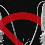 A close-up of a high-end laptop screen displaying complex code alongside a stylized robotic hand icon representing OpenClaw security concerns.