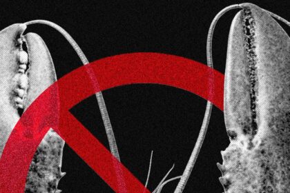 A close-up of a high-end laptop screen displaying complex code alongside a stylized robotic hand icon representing OpenClaw security concerns.